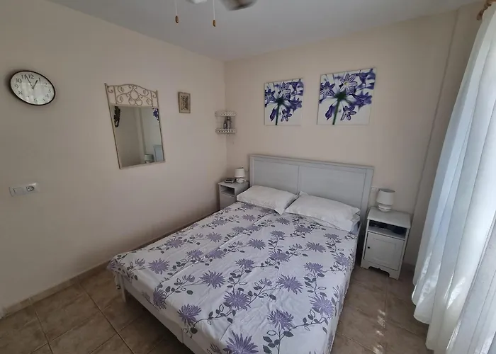 Marjon - The Views, Gigantes